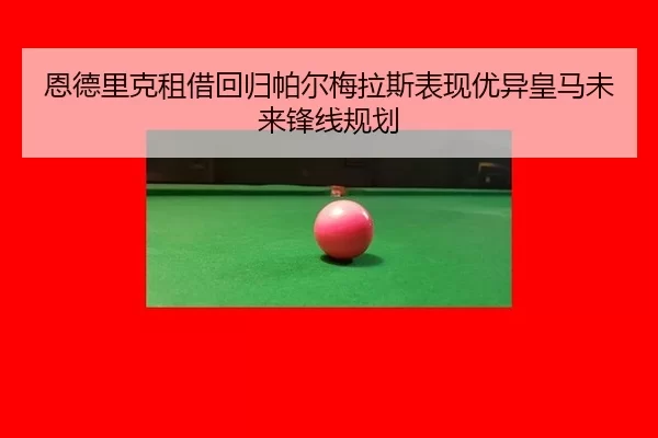 en-de-li-ke-zu-jie-hui-gui-pa-er-mei-la-si-biao-xian-you-yi-huang-ma-wei-lai-feng-xian-gui-hua-3-436.jpg